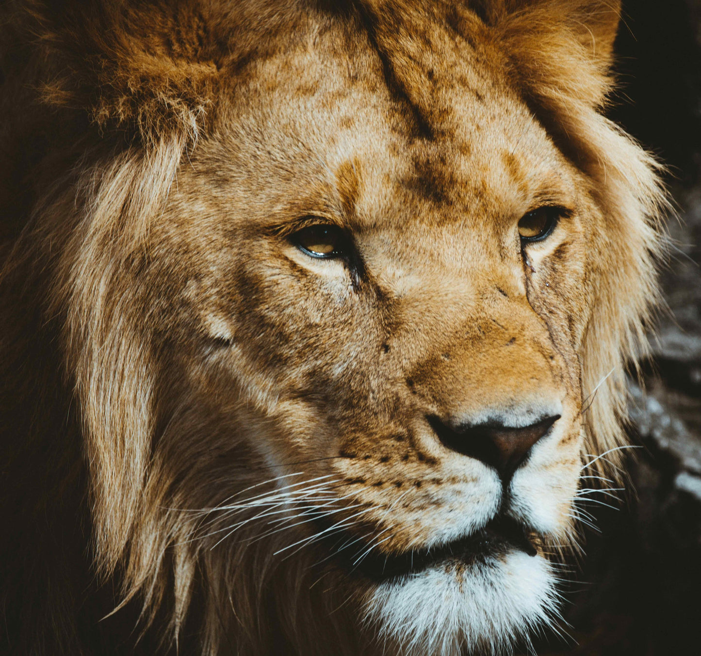 Ticket: Deliverance Training Workshop™ Jan. 2026 LIVESTREAM