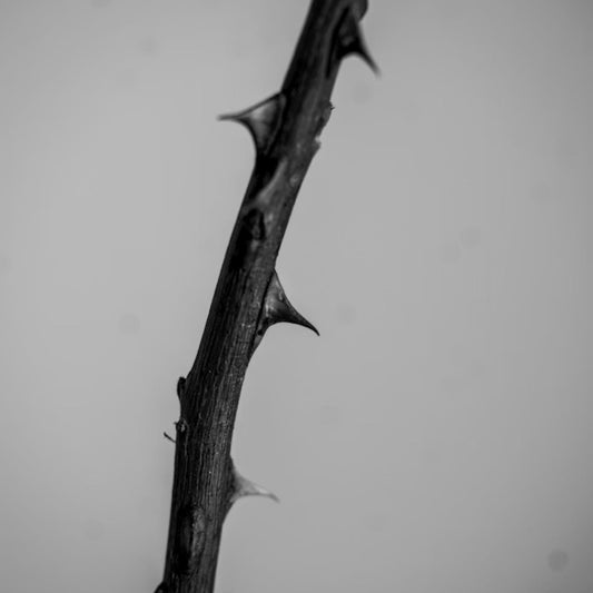 Ticket: Power in Weakness™ Mar. 2026 LIVESTREAM